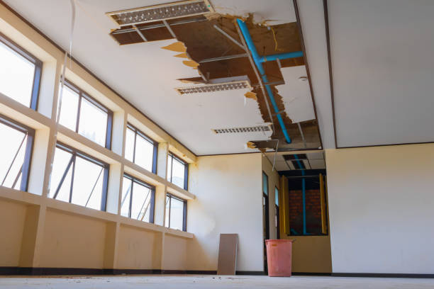 Best Local water damage restoration  in Safety Harbor, FL