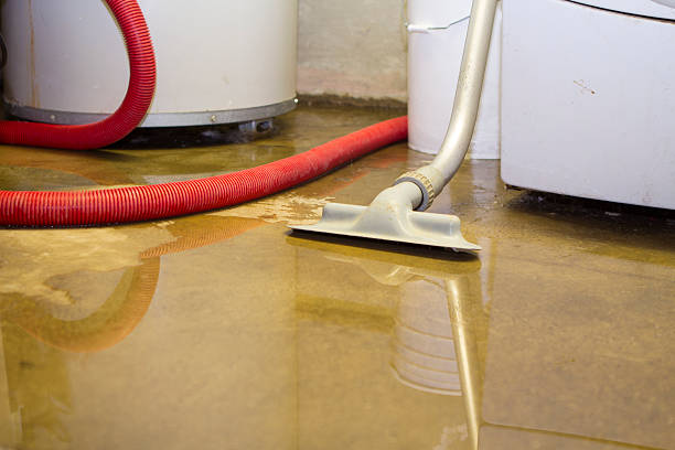 Best Water damage restoration services  in Safety Harbor, FL