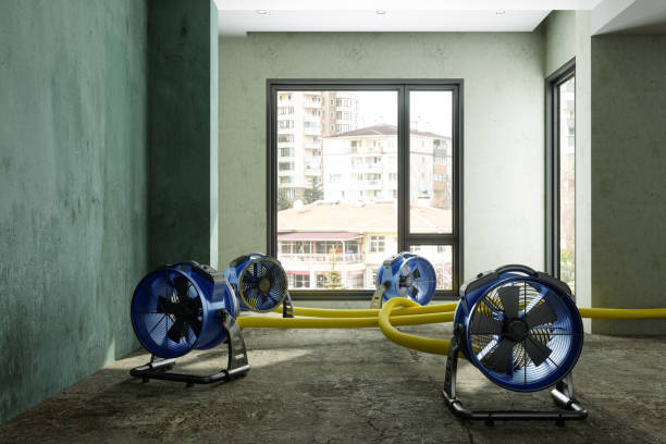 Best Commercial water damage restoration  in Safety Harbor, FL